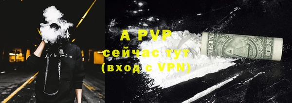 шишки Медногорск