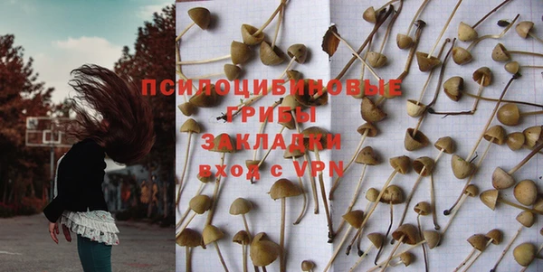 шишки Медногорск