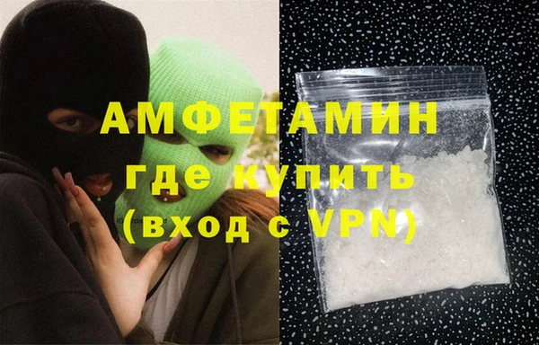 шишки Медногорск