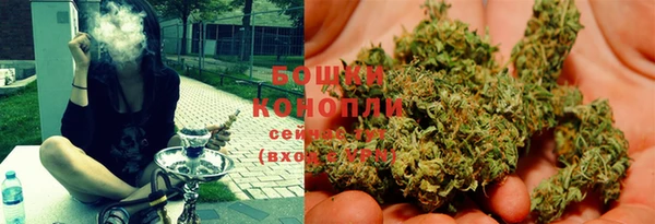 шишки Медногорск