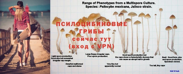 эйфоретик Богородицк