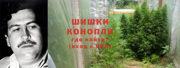 эйфоретик Богородицк