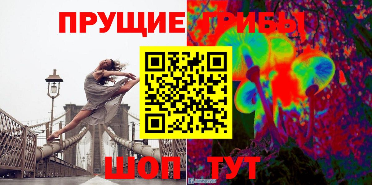 Галлюциногенные грибы Psilocybe Москва