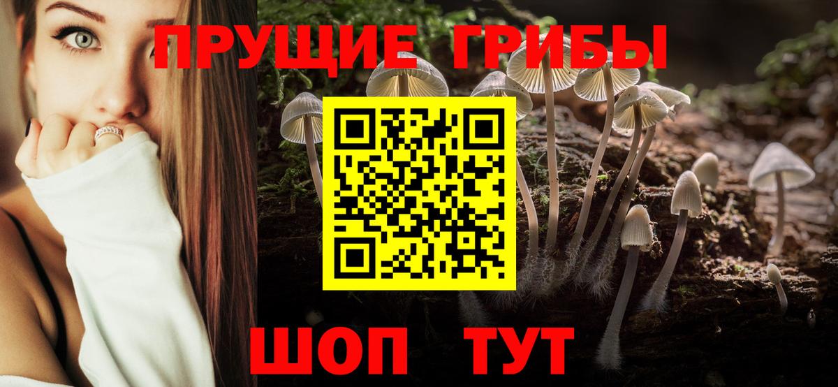 Галлюциногенные грибы GOLDEN TEACHER  Вход с VPN  Москва 